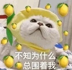  吴谨言洪尧又曝亲密照于正家的艺人drama真多啊......