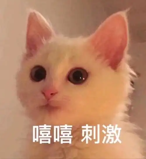  庆祝思诺威视抖音号粉丝破千啦分享一下抖音运营的小技巧