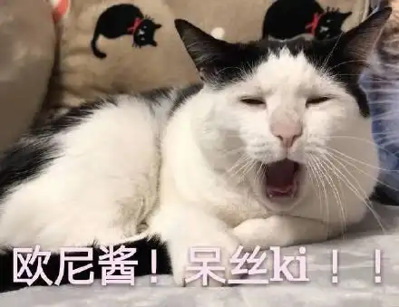 摸头表情包猫喜欢你