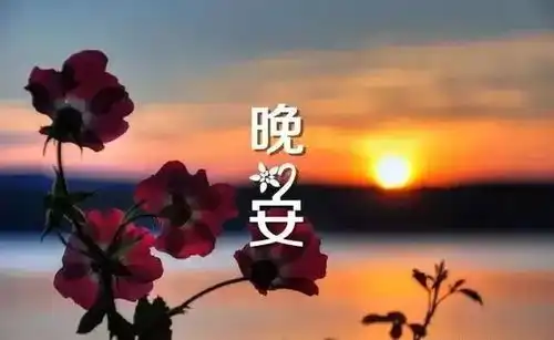  晚安心语优美的语句晚安睡前一句话