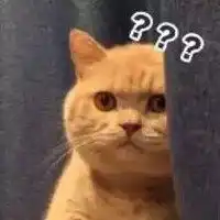 发癫喵表情包