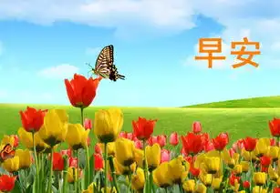  11.28星期二早安心语
