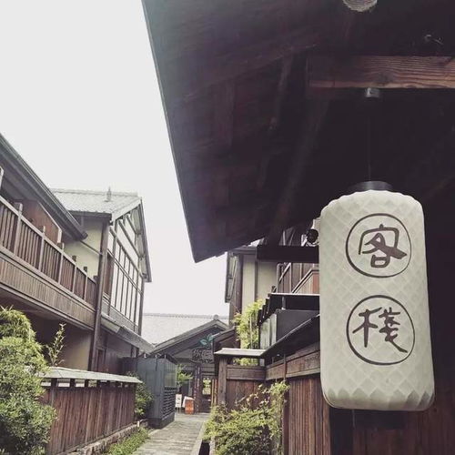  一个特色小镇,它不靠门票,做到年入六亿