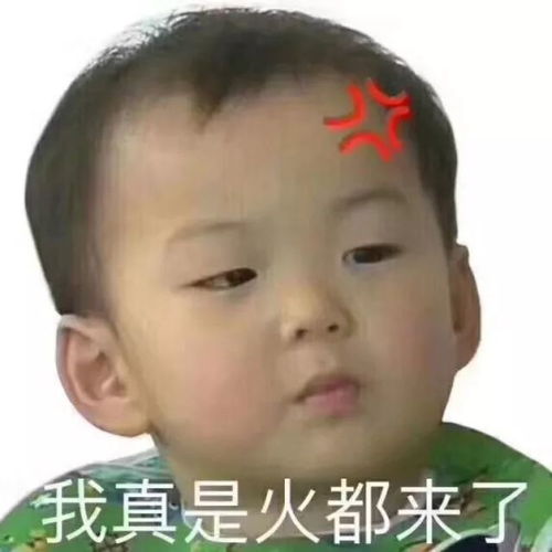  情侣亲热,单身汪受不了刺激打110....上海警察接过的奇葩报警电话