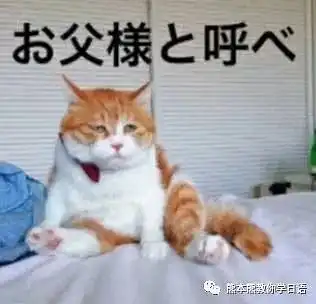  还不学日语,表情包能看懂吗