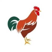  属鸡的微信吉祥头像2020属鸡招财转运的微信头像