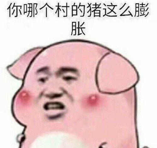 问题不大表情包欧布沙雕