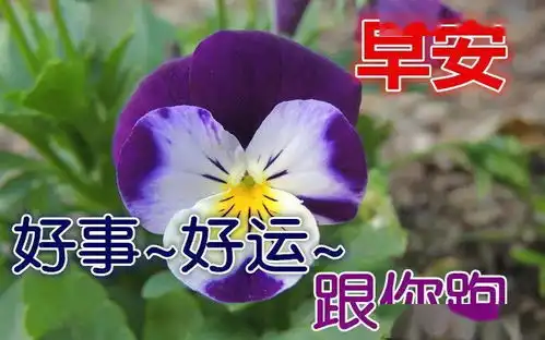 早早上好表情包早安心语