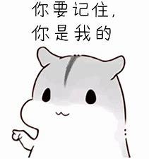 就那么一点点表情包小仓