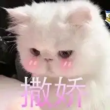撒娇的表情包视频老公