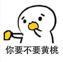  为了抵抗衰老,我一直在做这五件事