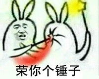 舞法天女朵法拉表情包大全