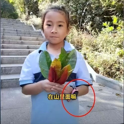  云南女童走失后续失联22天,姑姑突然深夜发文,曝光更多细节