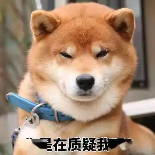  柴犬表情包