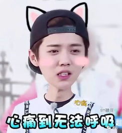  从择天记的热播看鹿晗的...