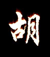  大家有没有好好看的胡字qq头像呀