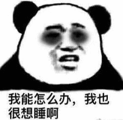  在科创板来临的259天里,我们没有夜晚
