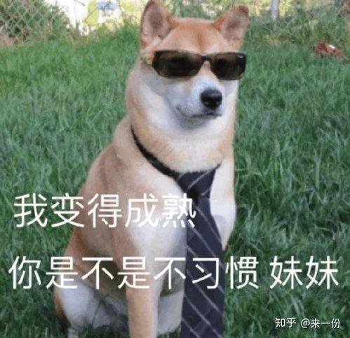  你们头像和背景图是从哪些软件找到到