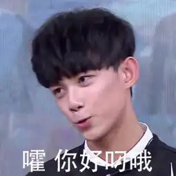  吴磊表情包leo