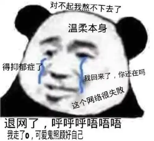 表情包也许吧,美貌总让人孤独