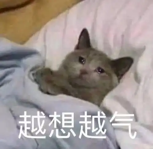  沙雕表情包越想越气