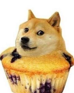  doge