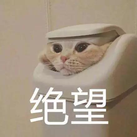  龙湾码头老火锅霸王餐势凶猛