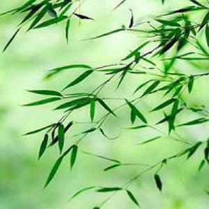  苹果8美版手机,打电话有时候能听到对方的声音,但对方听不到我的声音,怎么解决