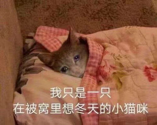  李姐笑话新学期开始,每个学生都要上台作自我介绍