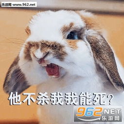  你能换个游戏玩吗谢谢兔子表情包你去单排求你了菜逼表情包下载乐游网游戏下载