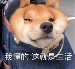  想静静怎么就这么难
