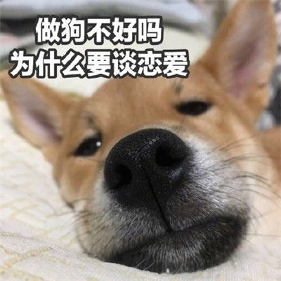  咳咳,单身狗表情包