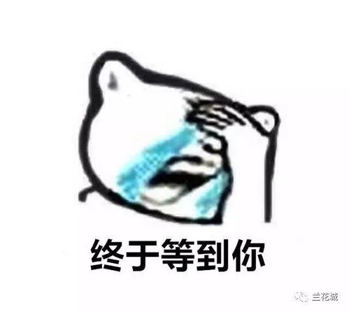 鼓足勇气表情包勇气