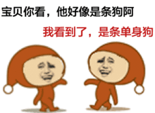  狗粮来了连三亚这对汪星人都摆喜酒成网红了,让我们单身狗情何以堪