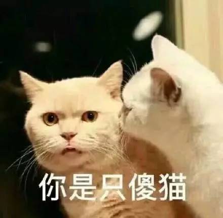  5分钟让准大一新生学会挑选笔记本电脑