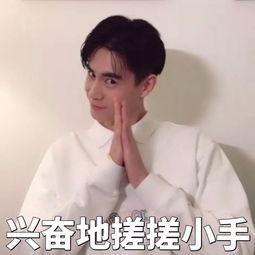  胡一天表情包