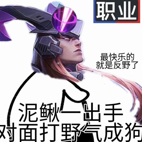 差评回复大全表情包王者
