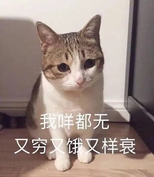  她这是嘴瓢了突然自曝是张艺兴的灵魂伴侣