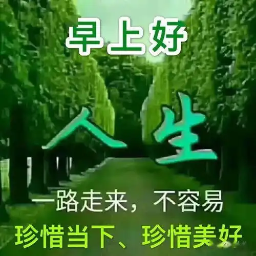  早上好聊天表情图库送给您,存起来慢慢用