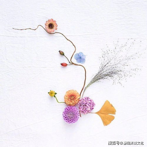 微信头像图片唯美简约干