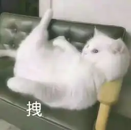  怎么看待王者荣耀里师徒演变为情侣这一现象
