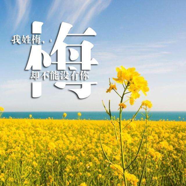  最美姓氏头像,网络转载原创分享最美的姓氏美图