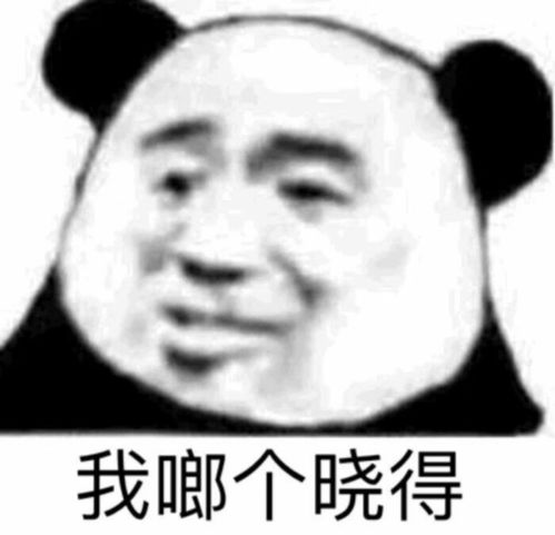  熊猫脸搞笑表情包2