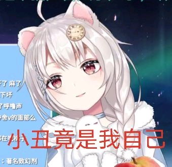  关于我作为人第一次看虚拟主播就变成了anti这回事是正常的吗雪狐表情包合集