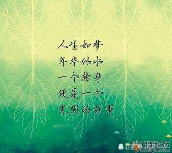  别人的故事,自己的人生