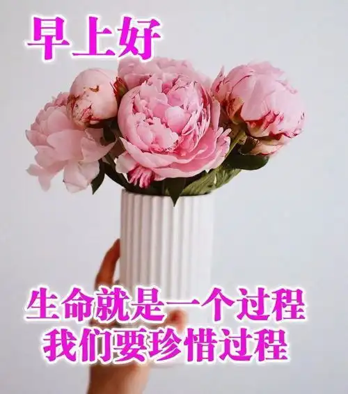 早早上好表情包周末