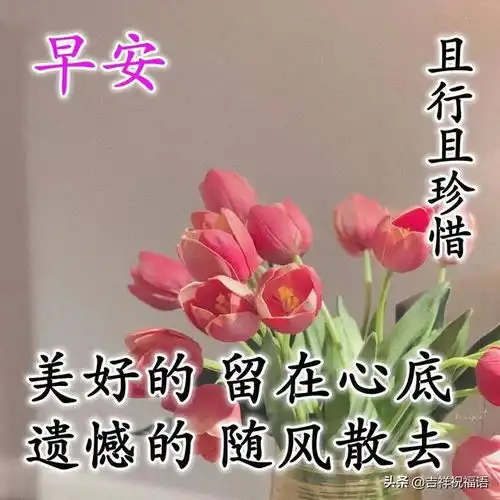  清晨到夜晚跑,道句早安心情好,早睡早起身体好棒,一天心情乐逍遥