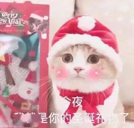  圣诞节表情包
