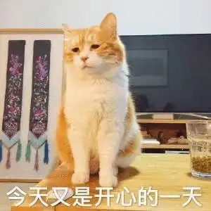  未来的技术型人才,社会杰出人物的java人生实时记录
