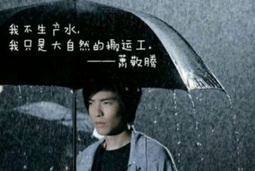 萧敬腾下雨表情包雨神